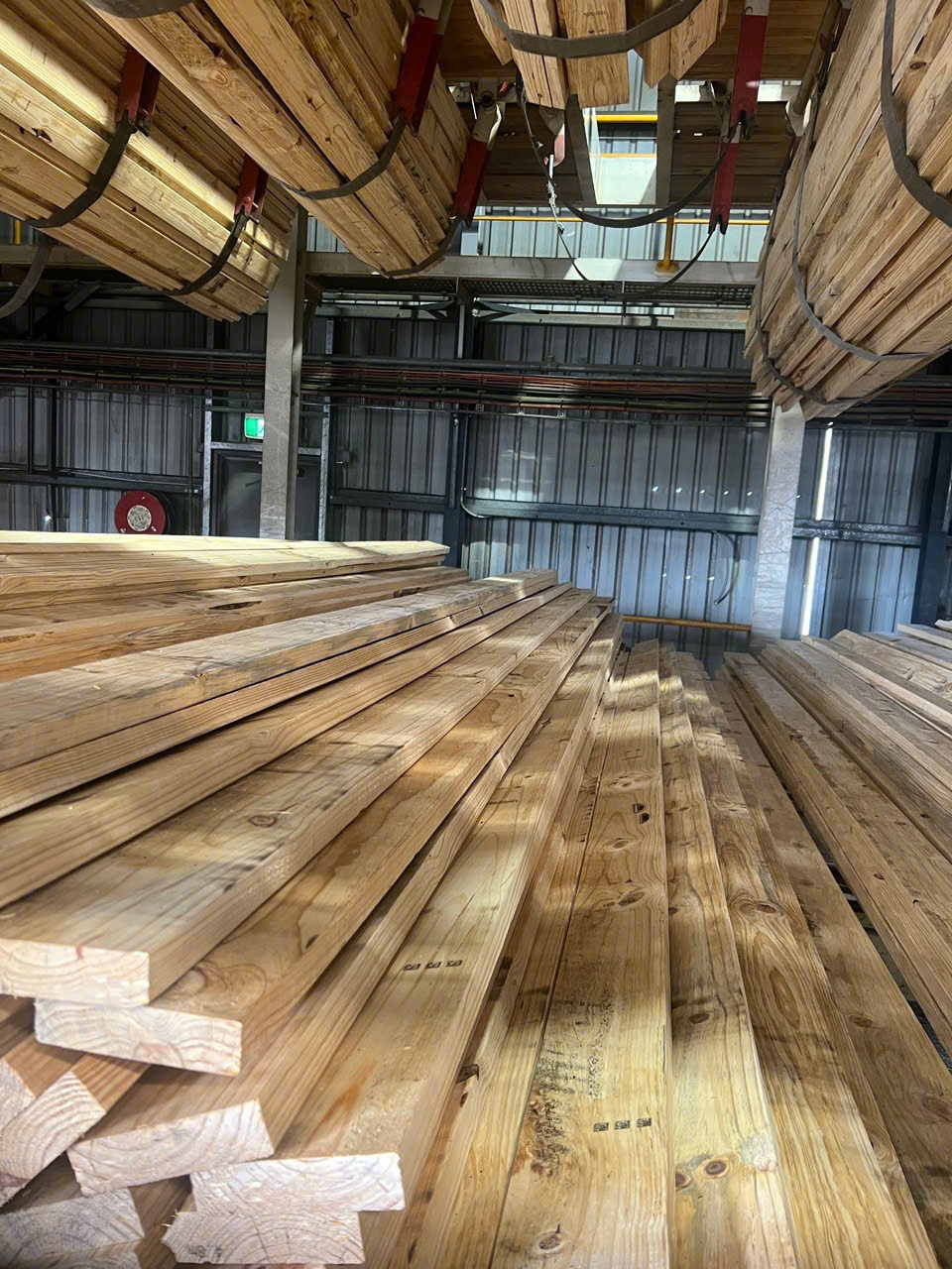 Timbers